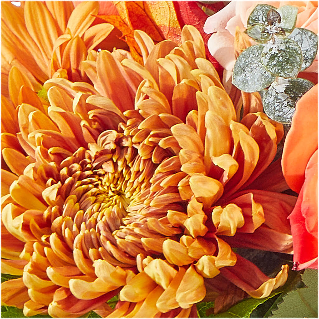 Scenic Route Bouquet –  Bloomtopia, New Bedford MA