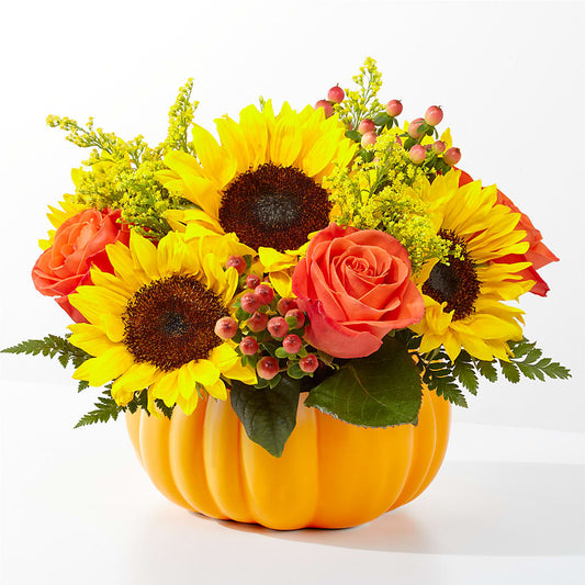Pick of the Patch Pumpkin Bouquet –  Bloomtopia, New Bedford MA