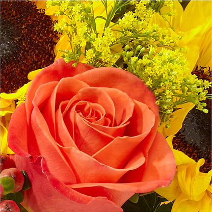 Pick of the Patch Pumpkin Bouquet –  Bloomtopia, New Bedford MA