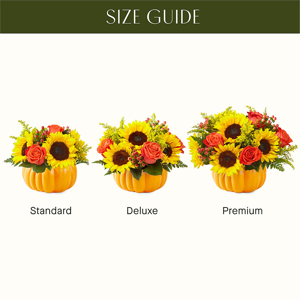 Pick of the Patch Pumpkin Bouquet –  Bloomtopia, New Bedford MA