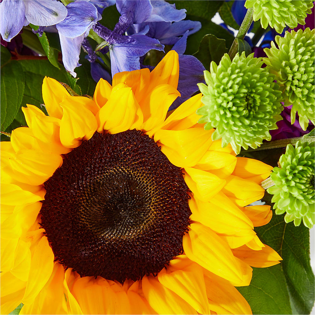 Catching Rays Bouquet –  Bloomtopia, New Bedford MA