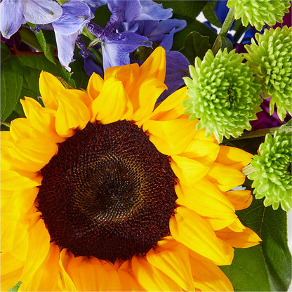 Catching Rays Bouquet –  Bloomtopia, New Bedford MA