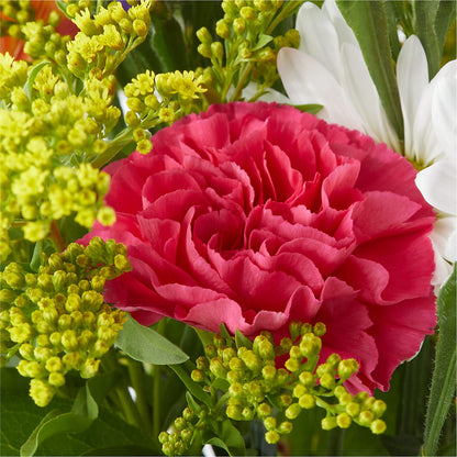 Oopsie Daisy Bouquet –  Bloomtopia, New Bedford MA