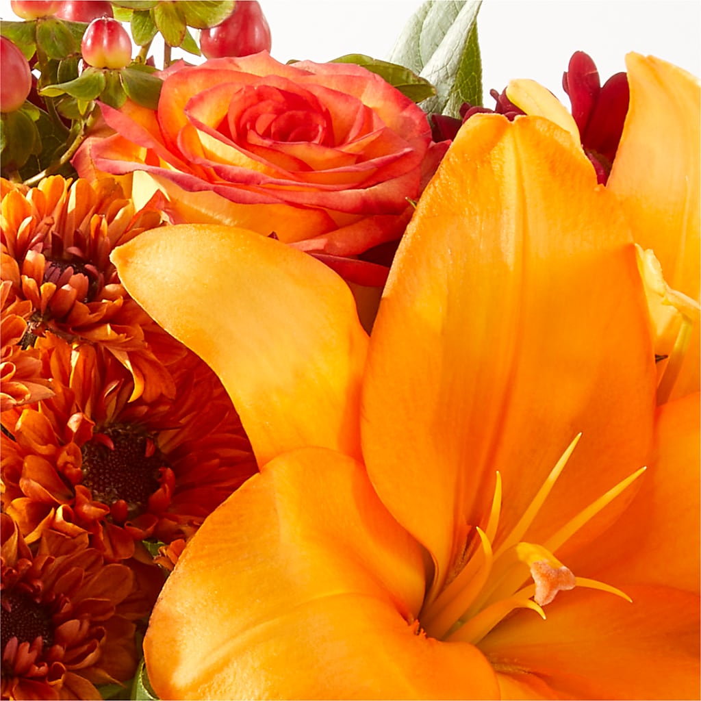 Backyard Bonfire Bouquet –  Bloomtopia, New Bedford MA