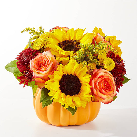 Golden Gourd Pumpkin Bouquet –  Bloomtopia, New Bedford MA