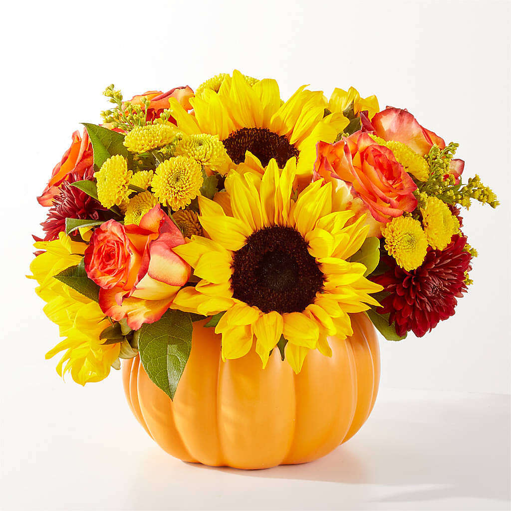 Golden Gourd Pumpkin Bouquet –  Bloomtopia, New Bedford MA