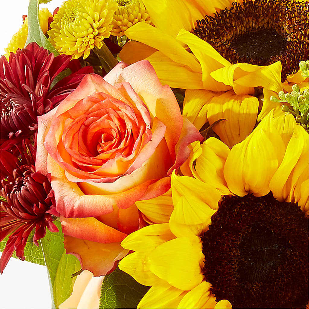 Golden Gourd Pumpkin Bouquet –  Bloomtopia, New Bedford MA