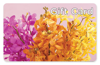 Gift Card –  Bloomtopia, New Bedford MA