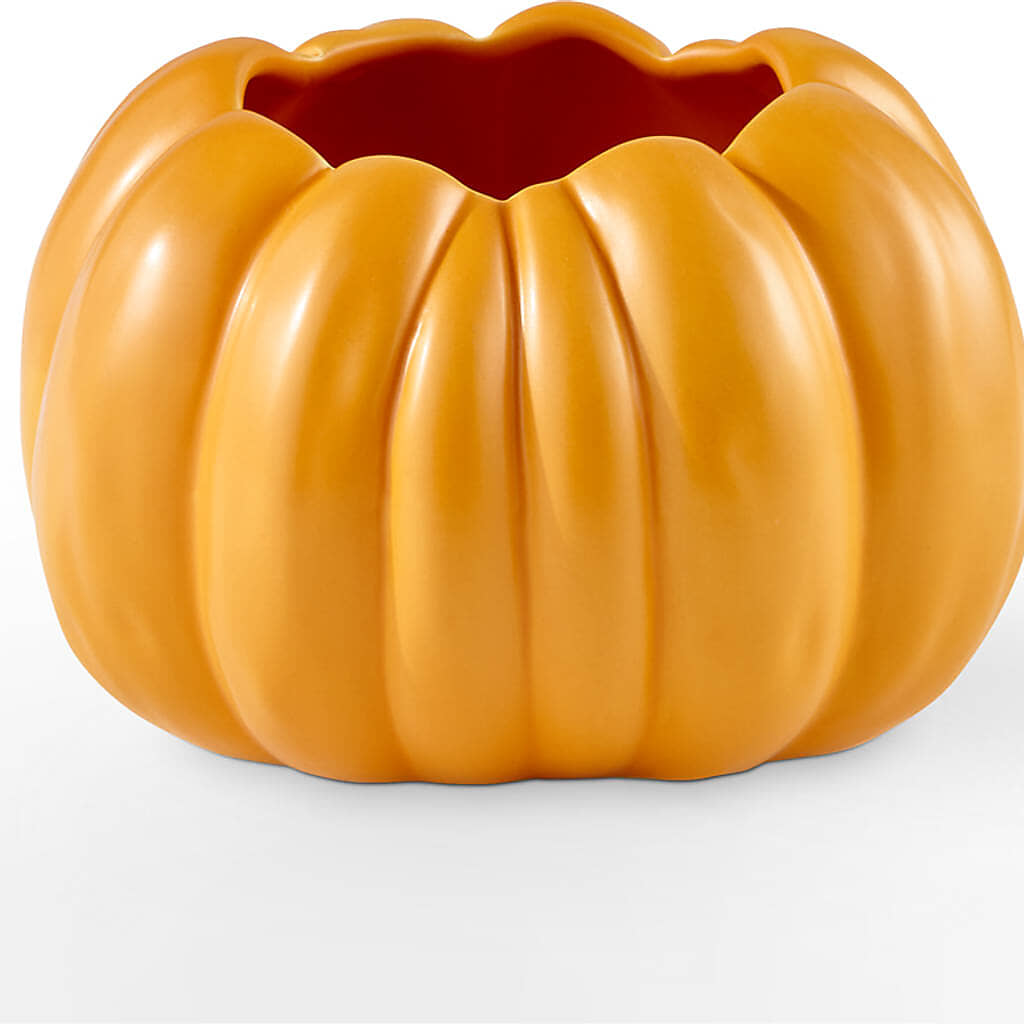 Pick of the Patch Pumpkin Bouquet –  Bloomtopia, New Bedford MA