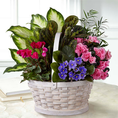 Peaceful Garden Planter –  Bloomtopia, New Bedford MA