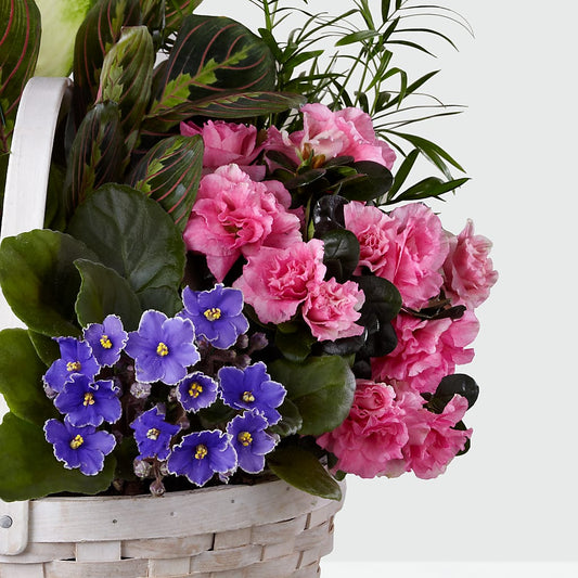 Peaceful Garden Planter –  Bloomtopia, New Bedford MA