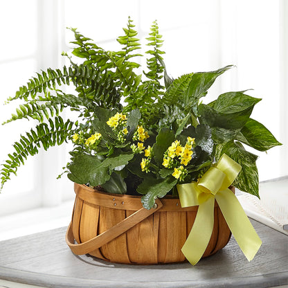 Always Dear Dishgarden –  Bloomtopia, New Bedford MA