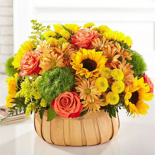 Harvest Sunflower Basket –  Bloomtopia, New Bedford MA