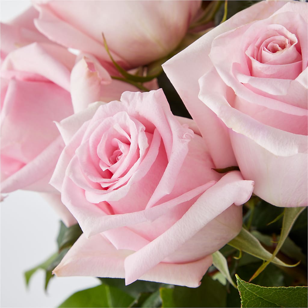 Picture Perfect Pink Rose Bouquet –  Bloomtopia, New Bedford MA