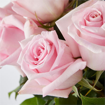 Picture Perfect Pink Rose Bouquet –  Bloomtopia, New Bedford MA
