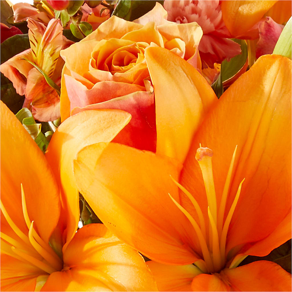 Afternoon Light Bouquet –  Bloomtopia, New Bedford MA