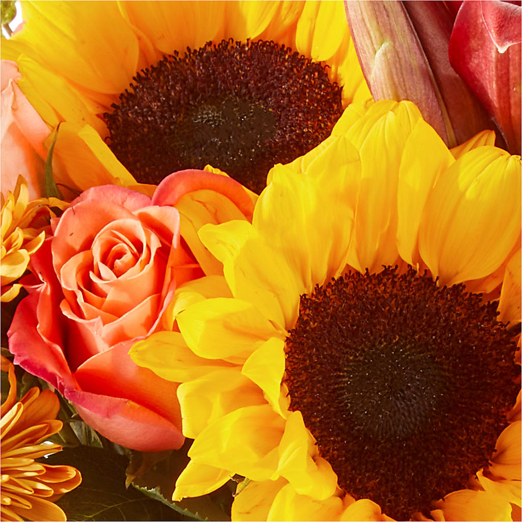 Acorn Lane Bouquet –  Bloomtopia, New Bedford MA