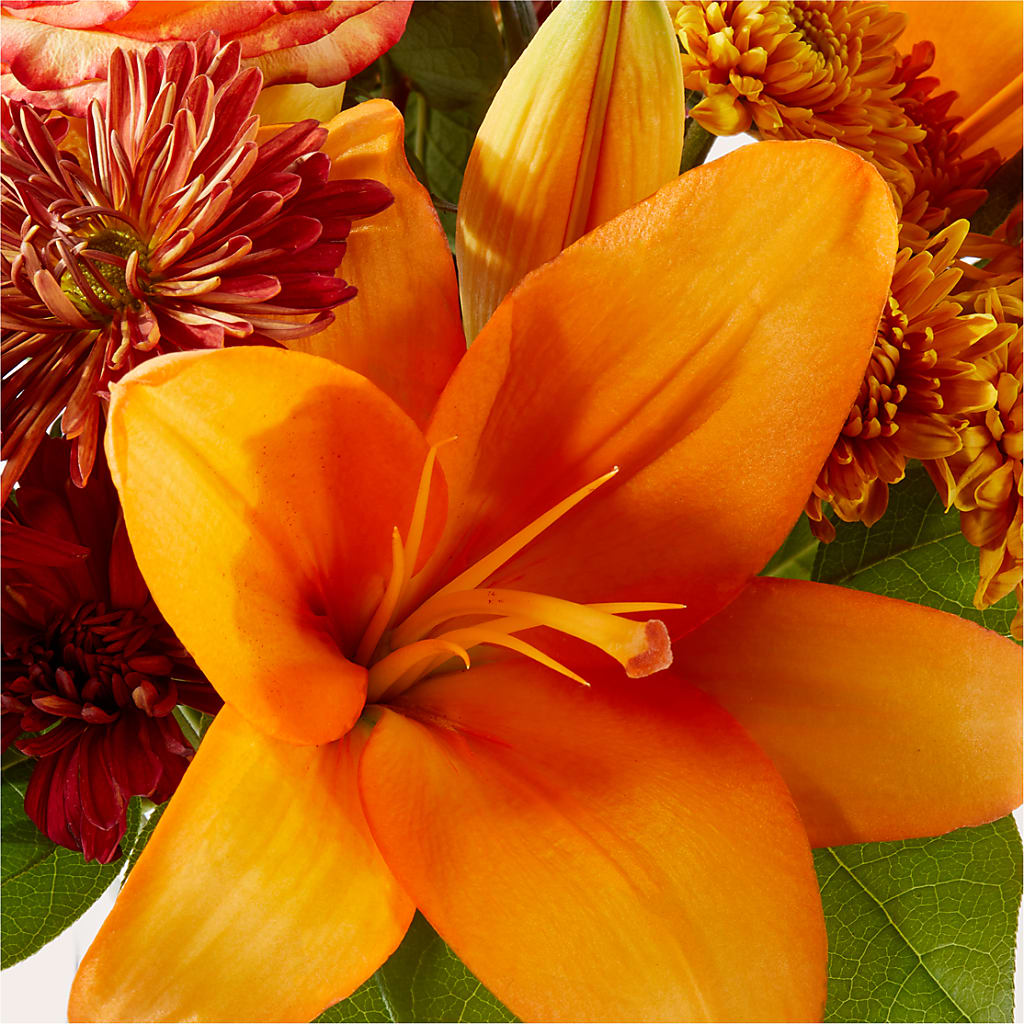 Autumnal Aroma Bouquet –  Bloomtopia, New Bedford MA