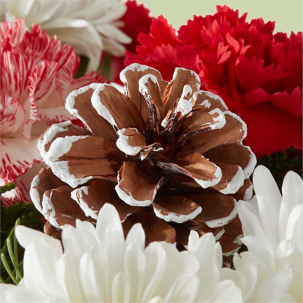 Candy Cane Lane Bouquet –  Bloomtopia, New Bedford MA