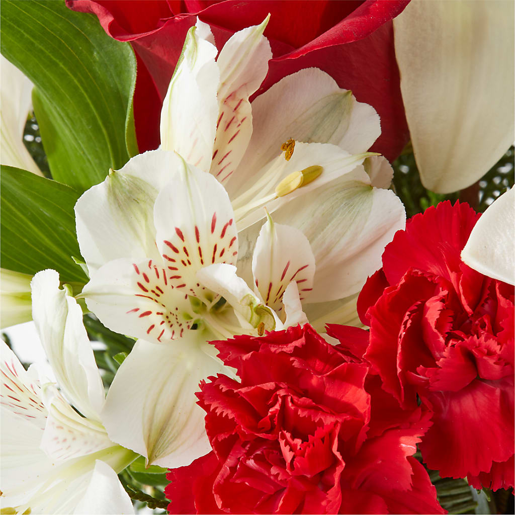 Holiday Season Bouquet –  Bloomtopia, New Bedford MA