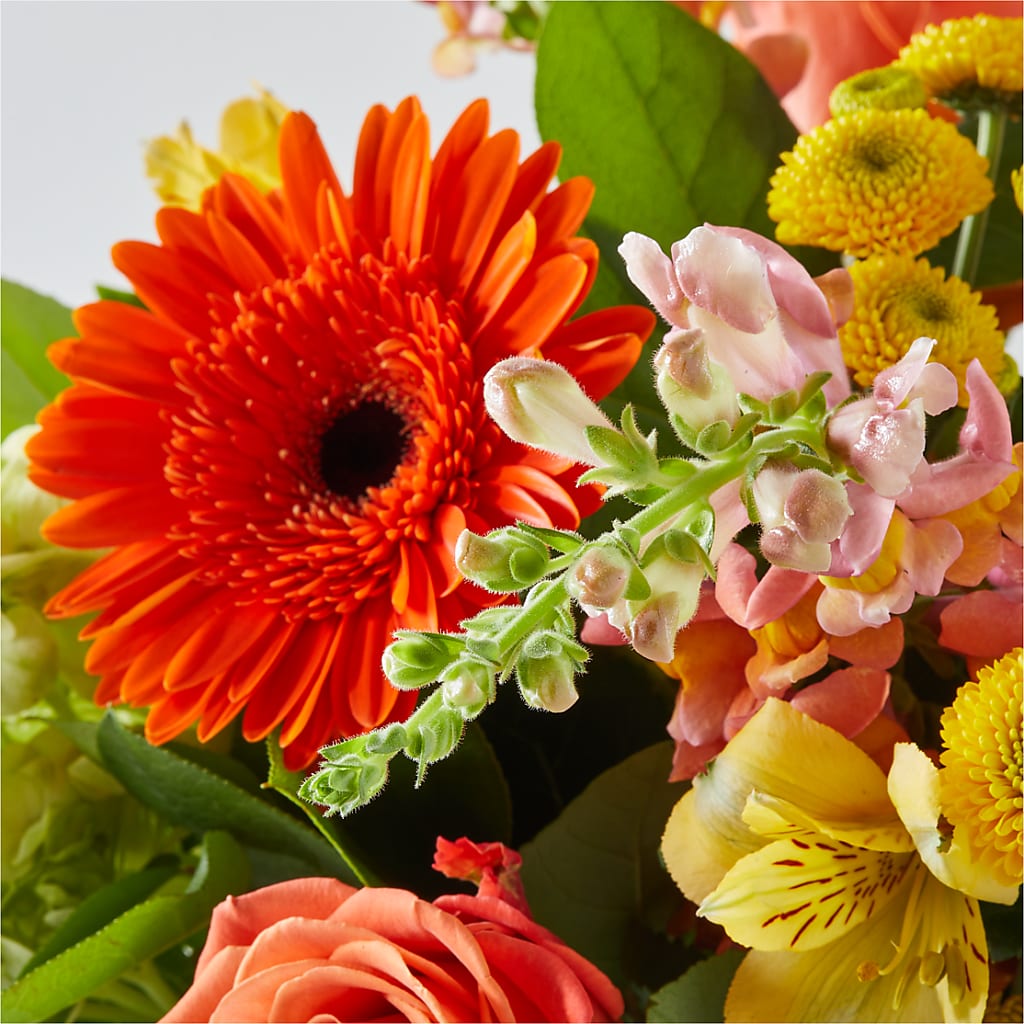 Autumn Sunshine Bouquet –  Bloomtopia, New Bedford MA