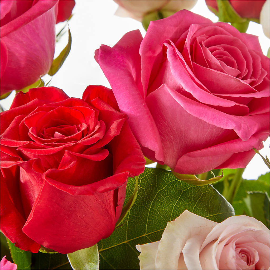 Charming Rose Bouquet –  Bloomtopia, New Bedford MA