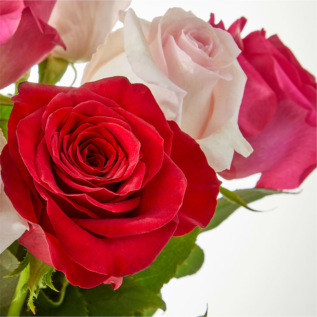 Charming Rose Bouquet –  Bloomtopia, New Bedford MA