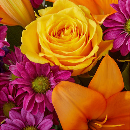Colorful Visions Bouquet –  Bloomtopia, New Bedford MA