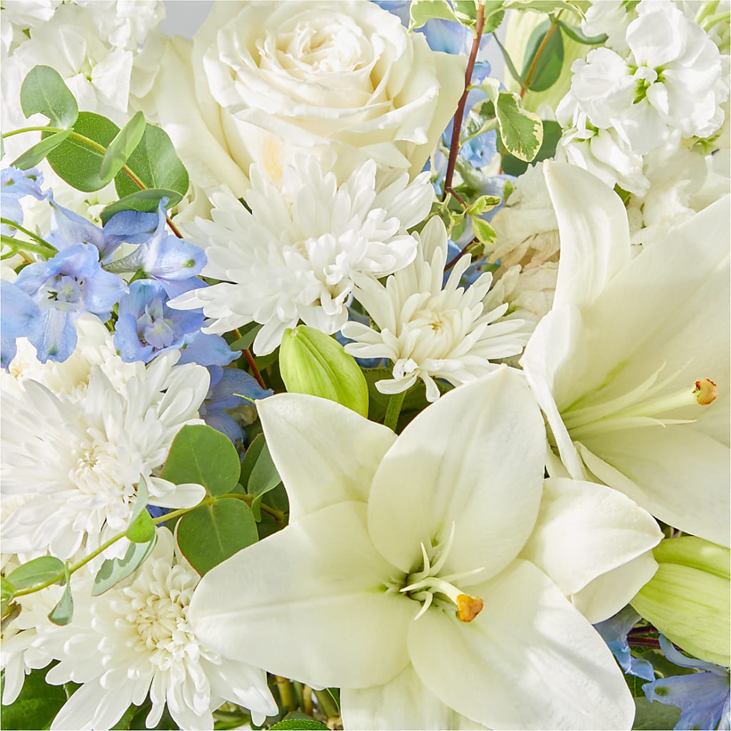 Peace of Mind Bouquet –  Bloomtopia, New Bedford MA