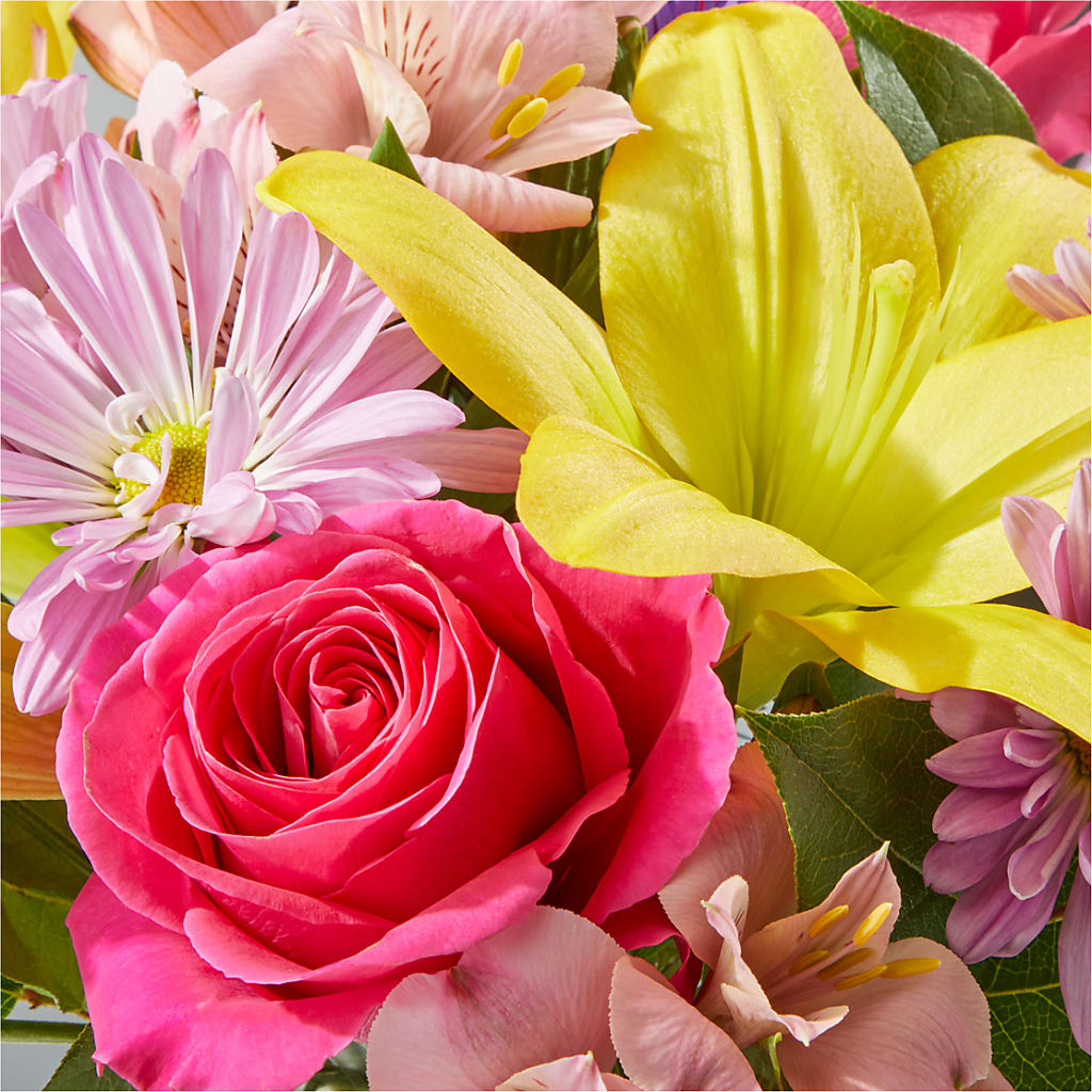 Sprinkles Bouquet –  Bloomtopia, New Bedford MA