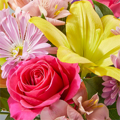 Sprinkles Bouquet –  Bloomtopia, New Bedford MA