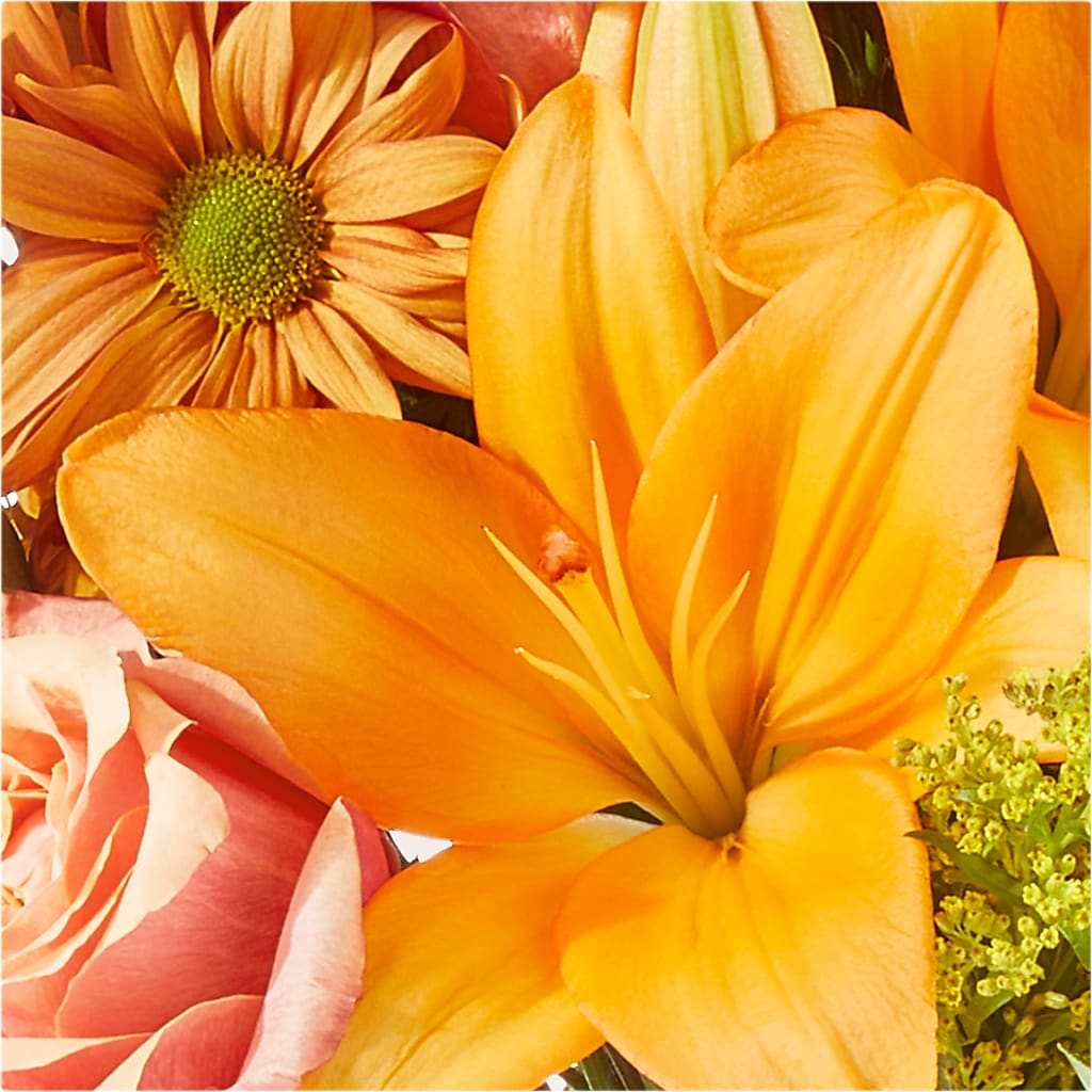 Harvest Hayride Bouquet –  Bloomtopia, New Bedford MA