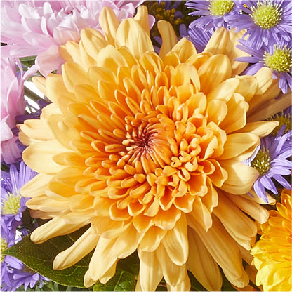 Countryside Bouquet –  Bloomtopia, New Bedford MA