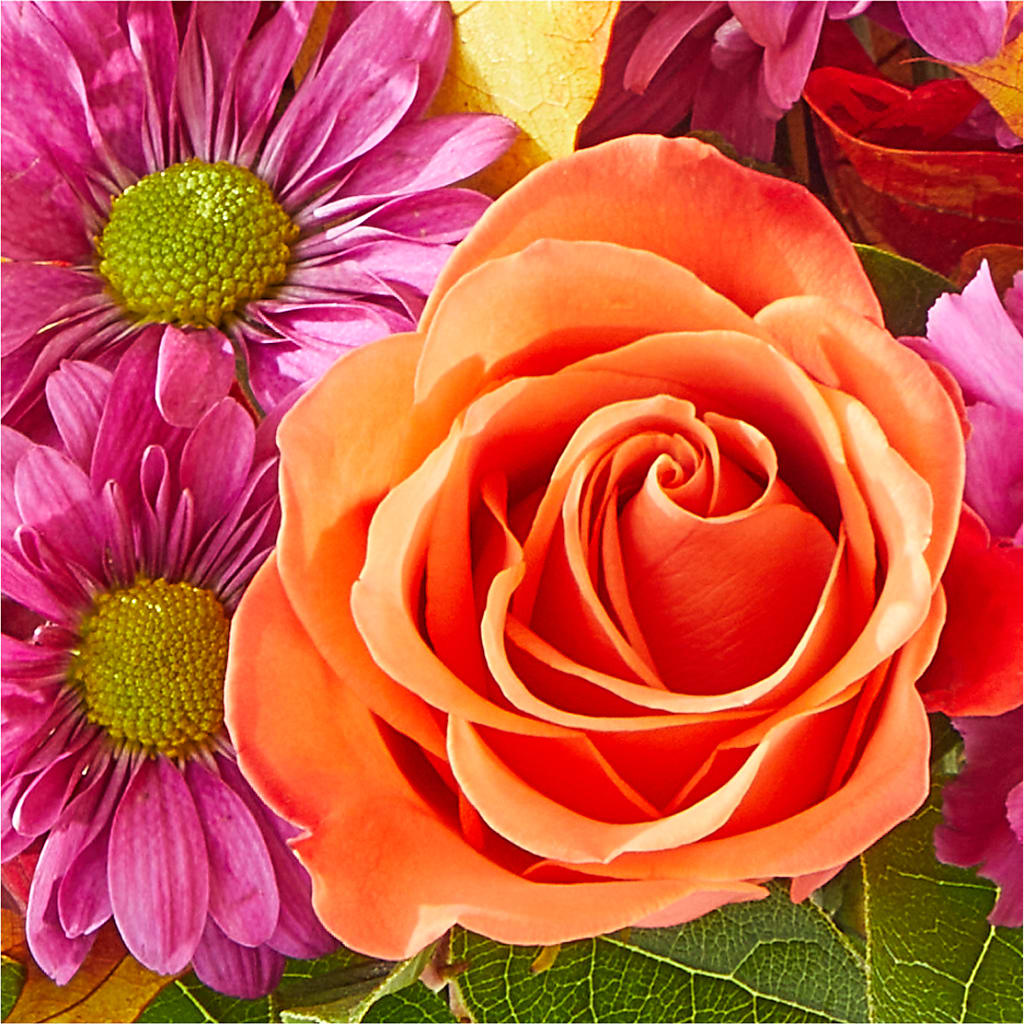 Mum's the Word Bouquet –  Bloomtopia, New Bedford MA