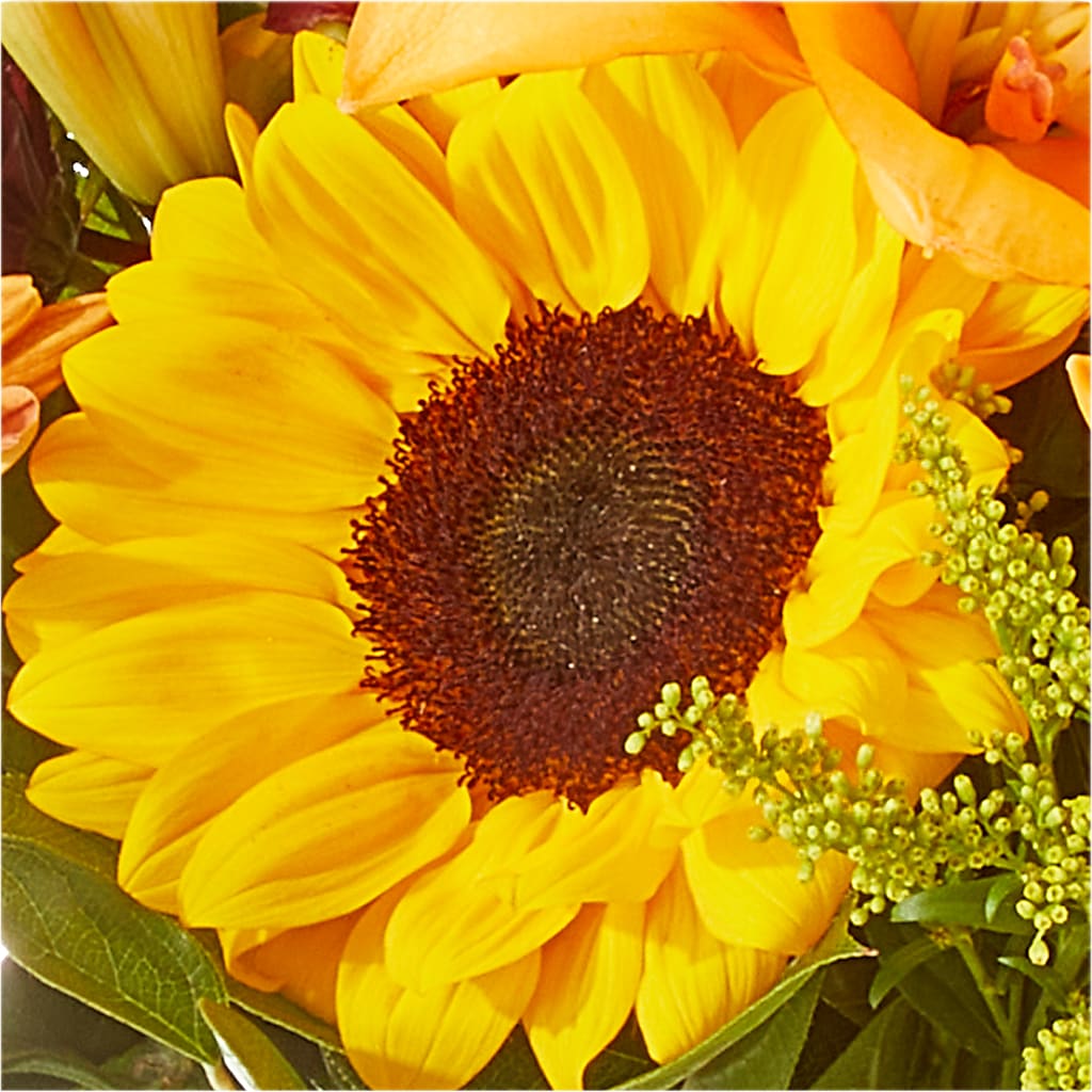 Seasons Change Bouquet –  Bloomtopia, New Bedford MA