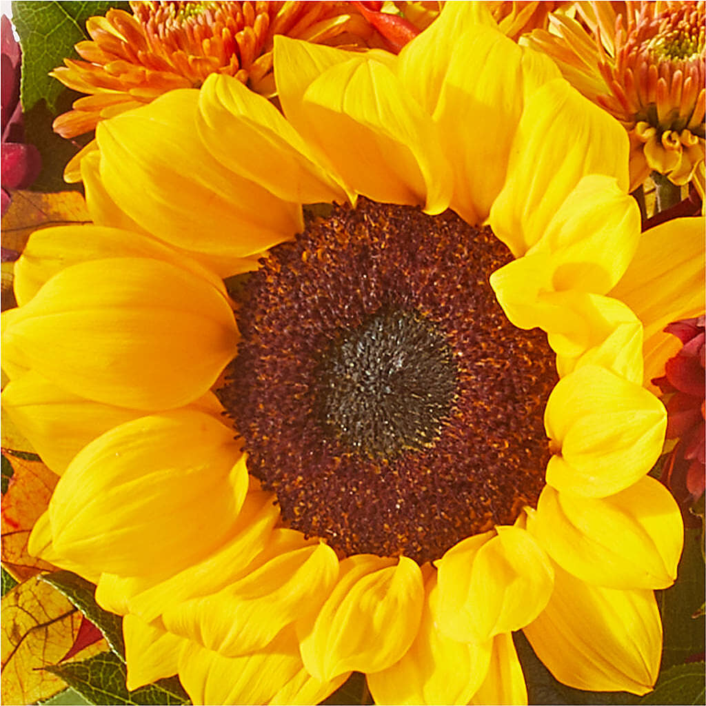 Sunny Side Bouquet –  Bloomtopia, New Bedford MA
