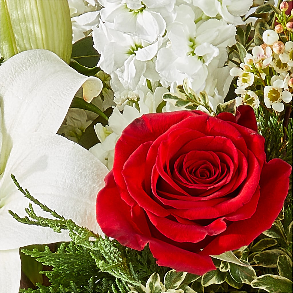 Twinkle Lights Bouquet –  Bloomtopia, New Bedford MA