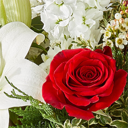 Twinkle Lights Bouquet –  Bloomtopia, New Bedford MA