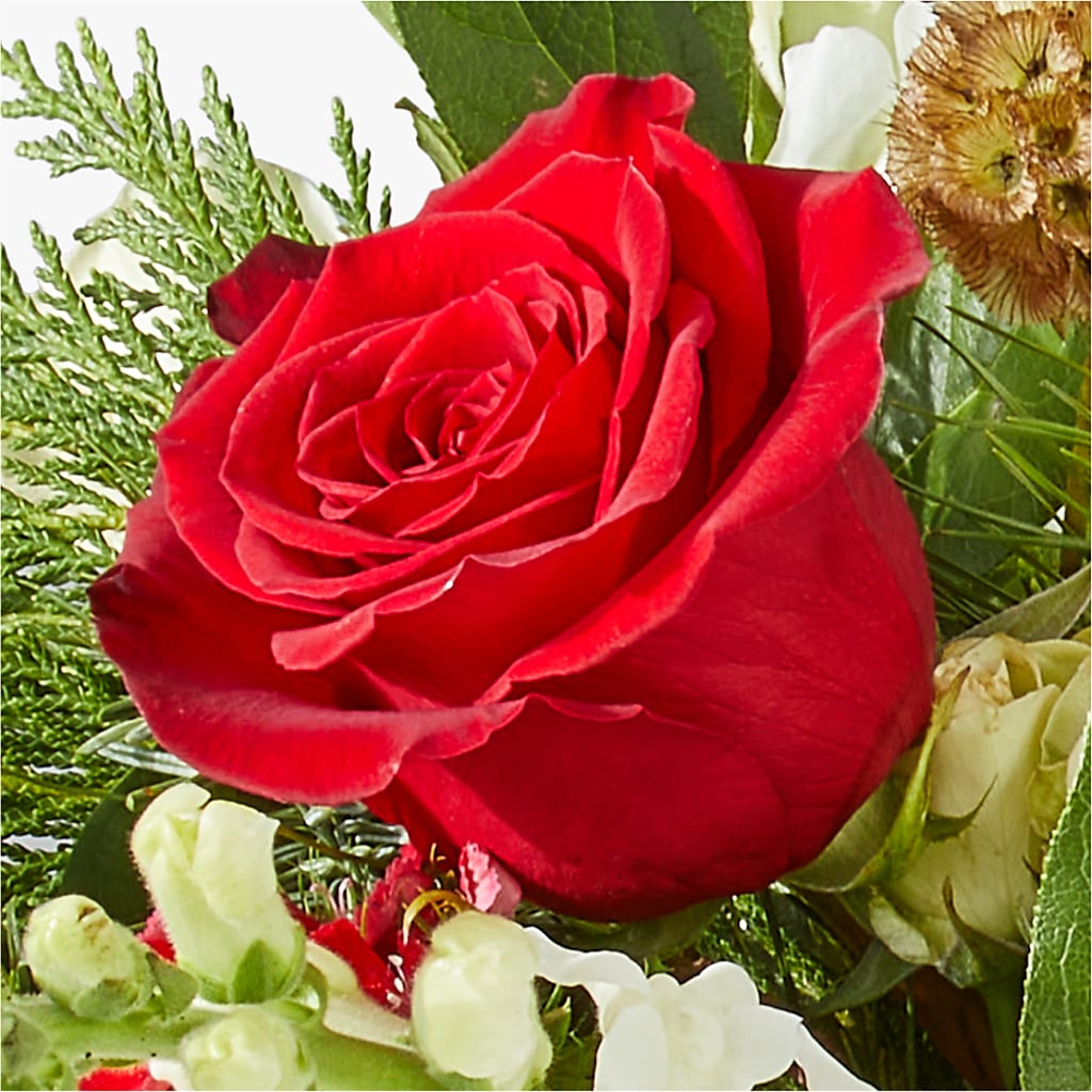 Deck the Halls Bouquet –  Bloomtopia, New Bedford MA