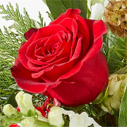Deck the Halls Bouquet –  Bloomtopia, New Bedford MA