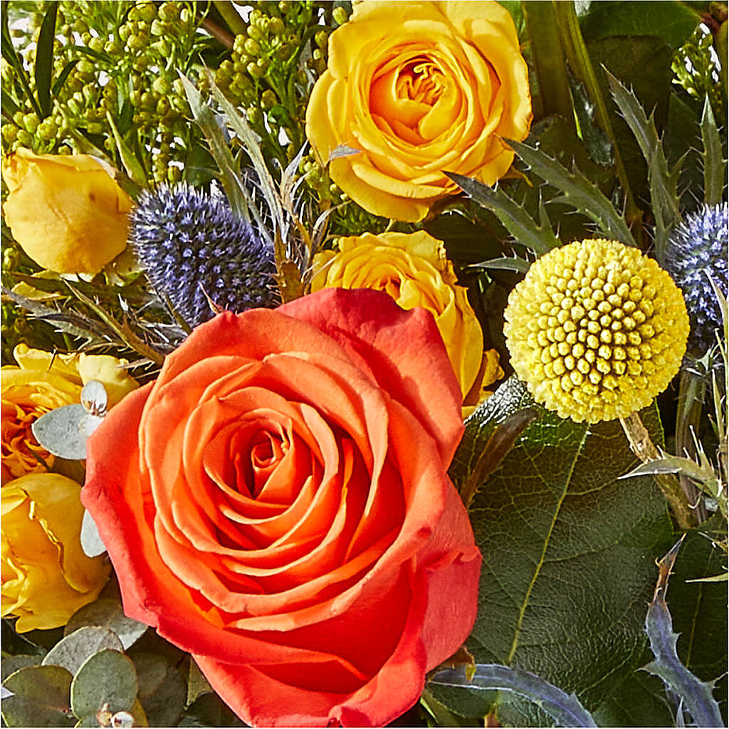 Disco Bouquet –  Bloomtopia, New Bedford MA