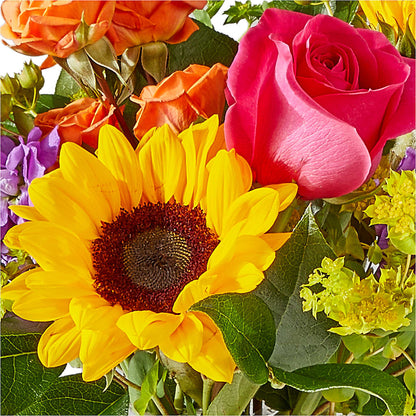 Vibrant Greetings Bouquet –  Bloomtopia, New Bedford MA