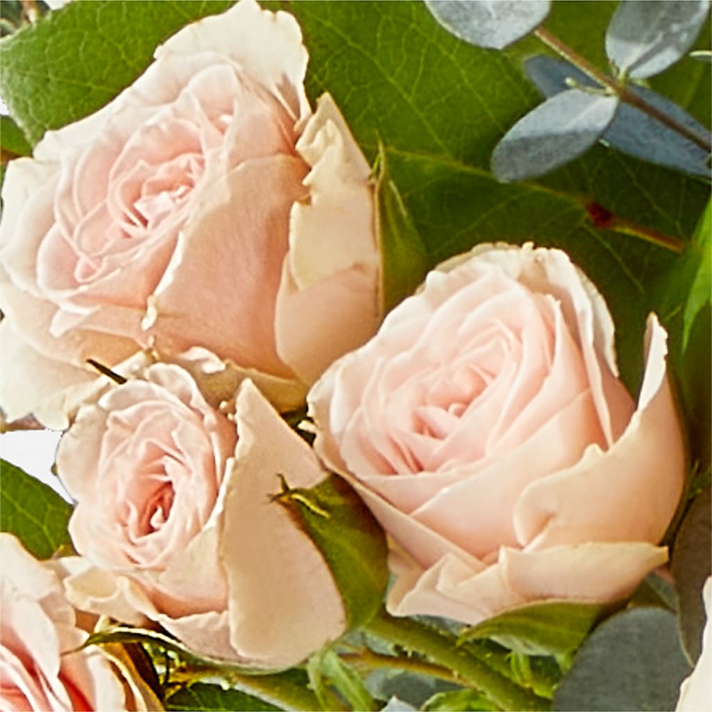 Inspired Bouquet –  Bloomtopia, New Bedford MA