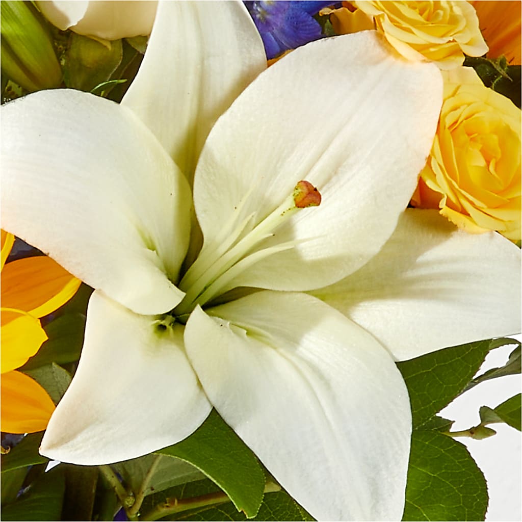 Wonderfully Sunny Bouquet –  Bloomtopia, New Bedford MA