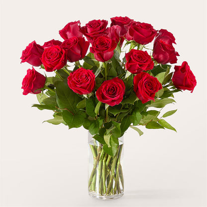 The One Red Rose Bouquet –  Bloomtopia, New Bedford MA