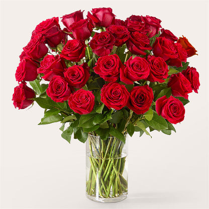 The One Red Rose Bouquet –  Bloomtopia, New Bedford MA