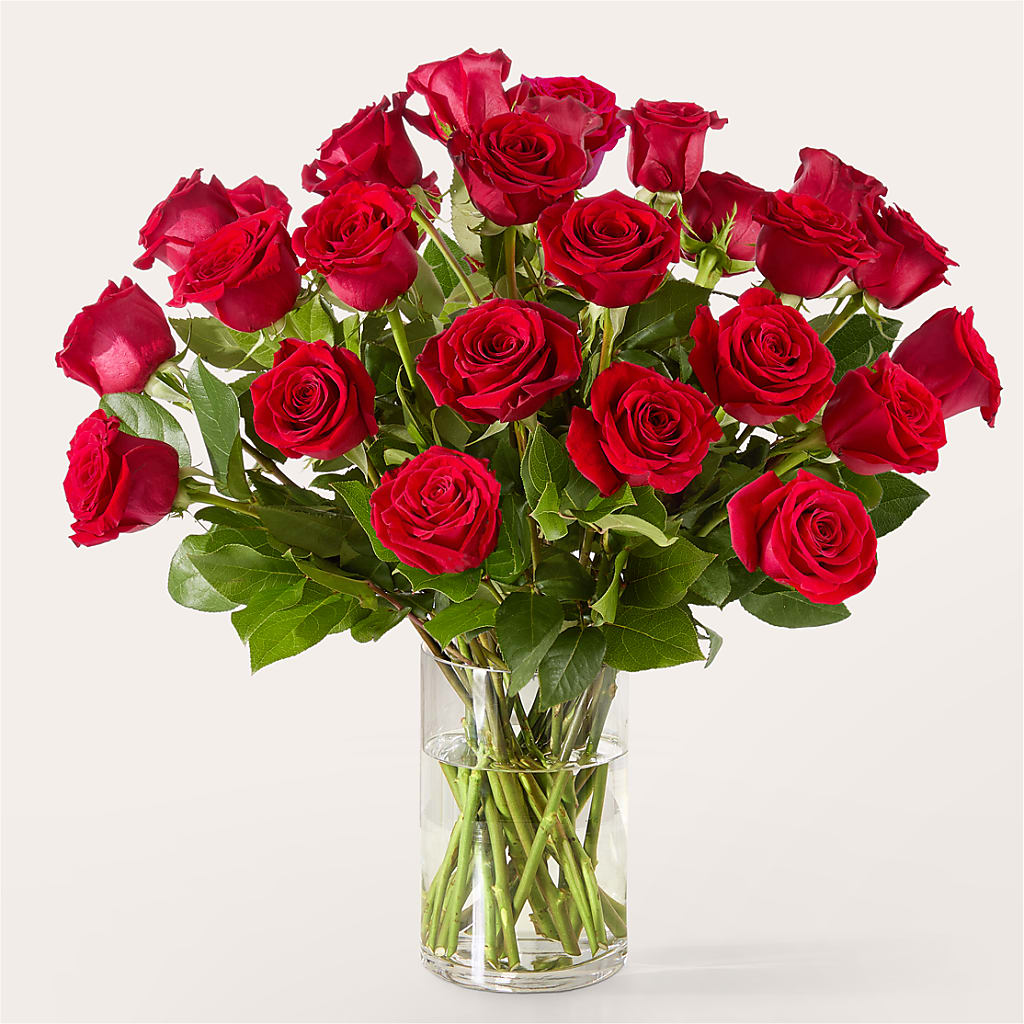 The One Red Rose Bouquet –  Bloomtopia, New Bedford MA