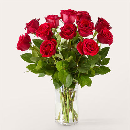 The One Red Rose Bouquet –  Bloomtopia, New Bedford MA