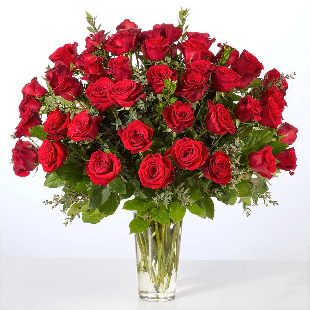 Forever Yours Fifty Stem Red Rose Bouquet –  Bloomtopia, New Bedford MA