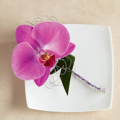 Glorious Boutonniere –  Bloomtopia, New Bedford MA